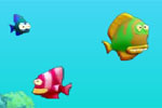 Fish Tales